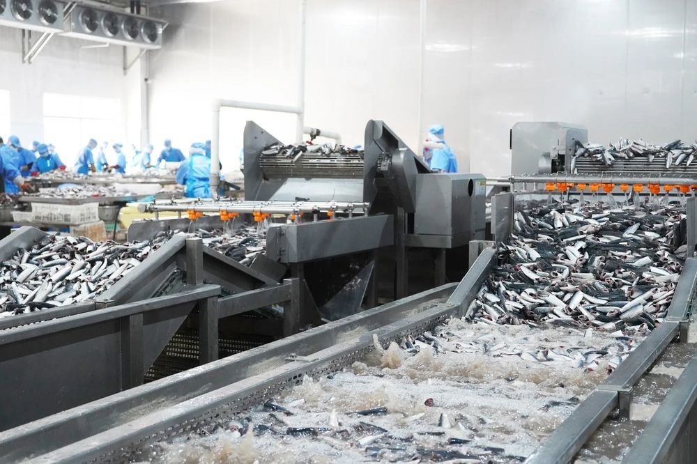 Fresh fish, processed in-house — Docanned cannery