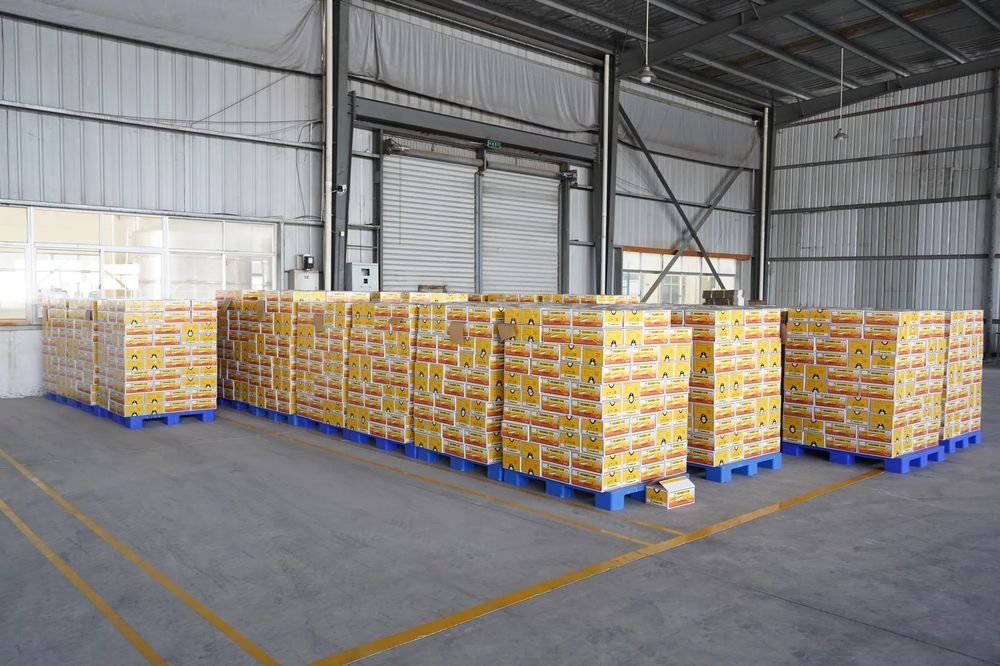 Warehoused & shipped worldwide — Docanned cannery