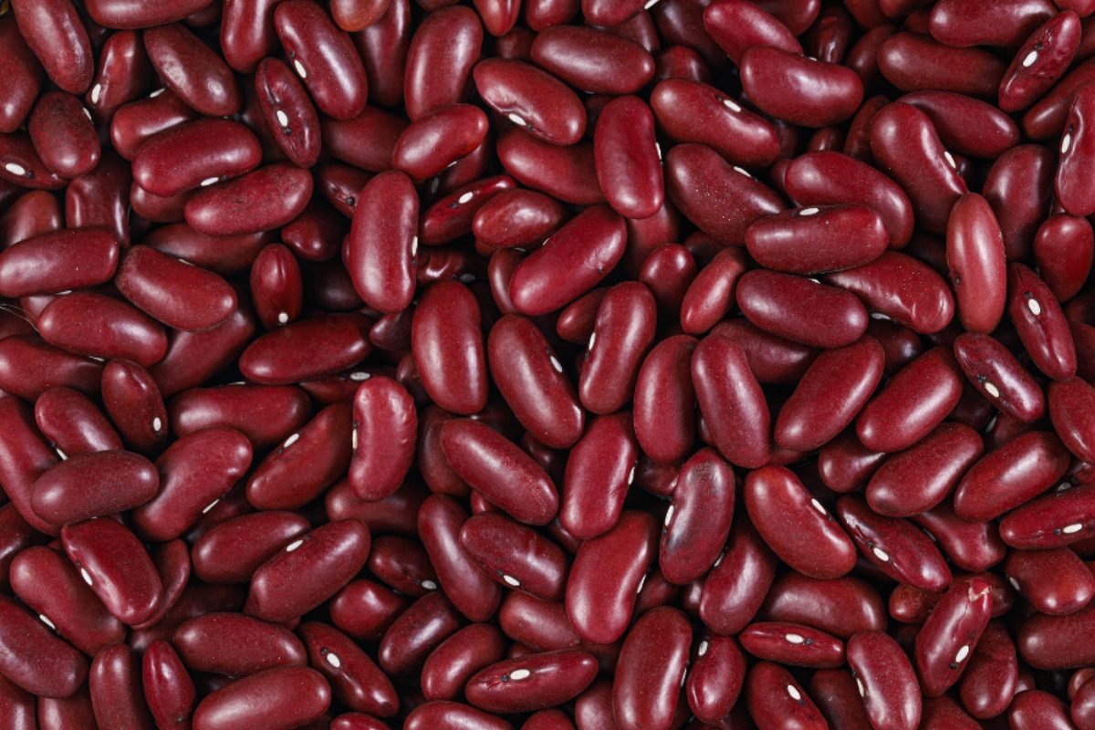 Kidney beans — DocannedStar Red Kidney Beans