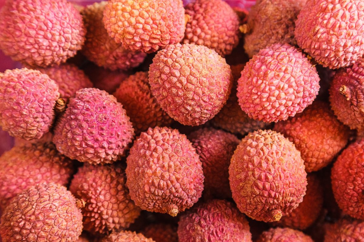 Fresh lychee — DocannedStar Lychee