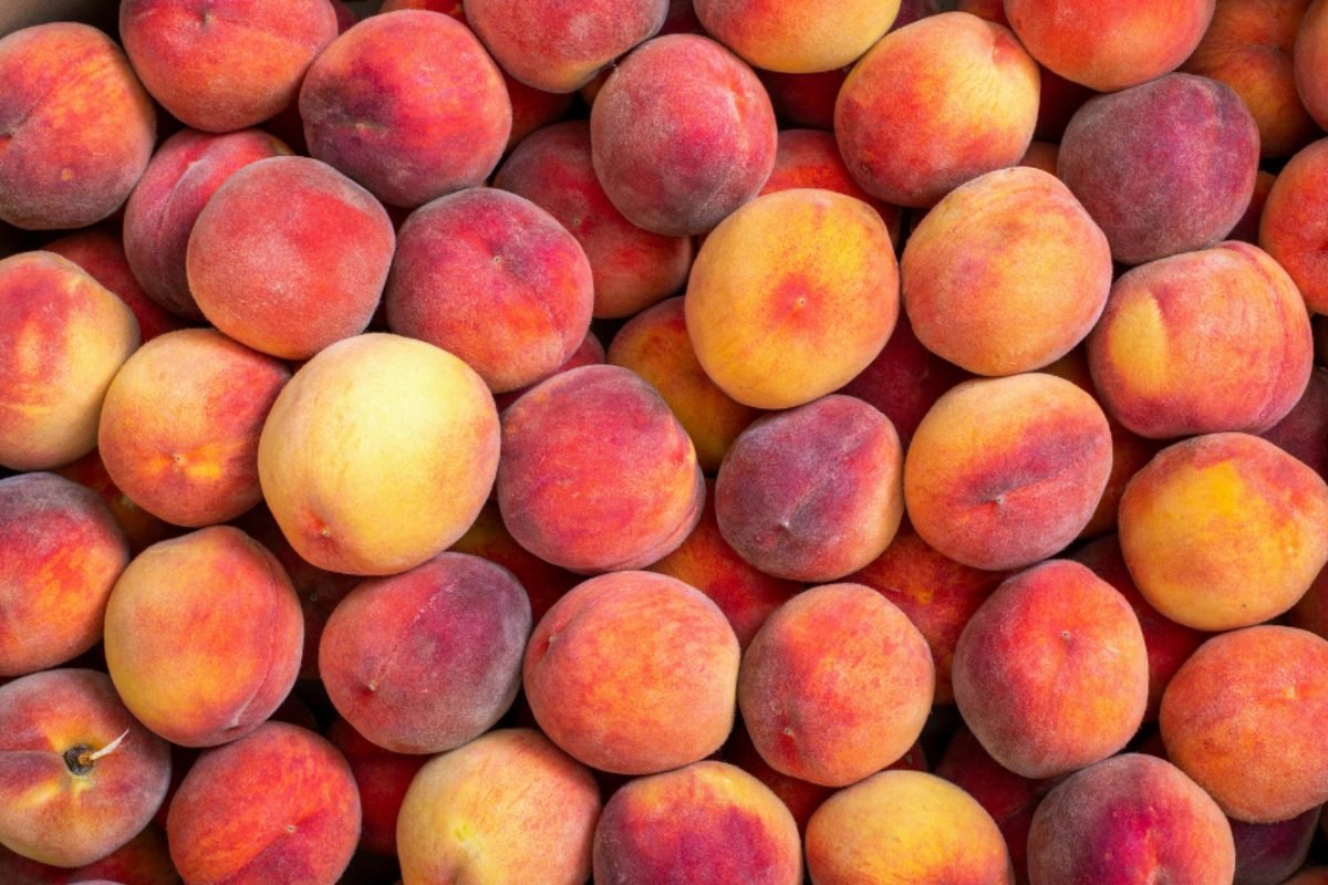 Fresh peaches — DocannedStar Peach Halves
