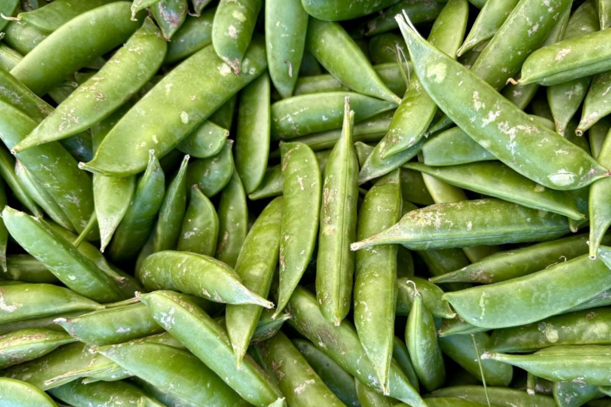 Green peas — DocannedStar Green Peas
