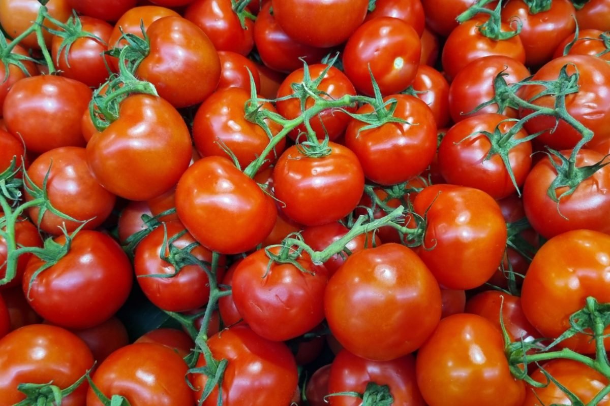 Vine tomatoes — DocannedStar Baked Beans