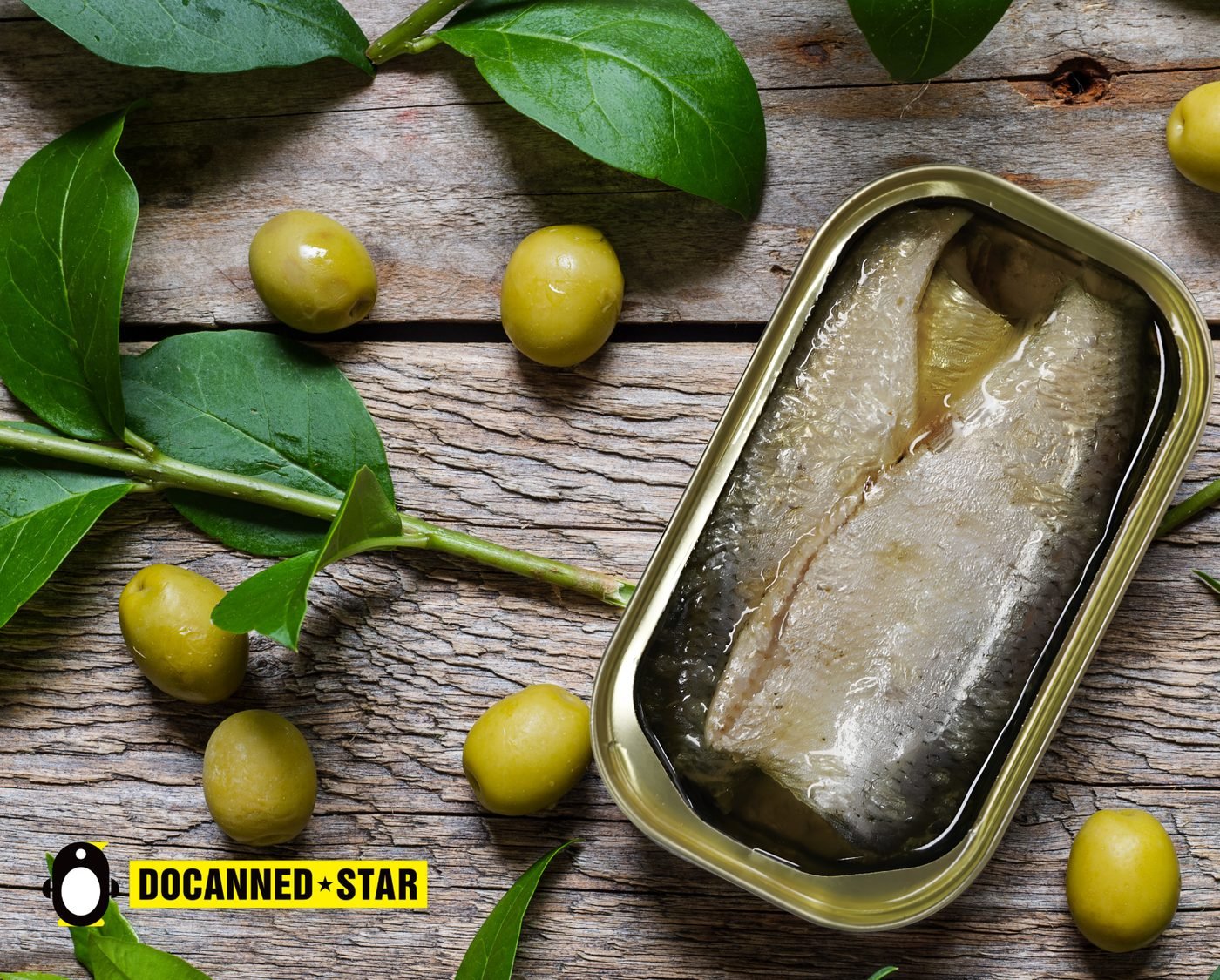 Opening a can of DocannedStar sardines